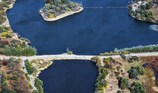 Çin'in Harbin kentindeki sulak alan parkları sonbahar manzarasına büründü