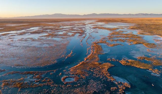 Çin'deki Dasugan Gölü ve Xiaosugan Gölü ekolojik sulak alan olarak göçmen kuşların mola noktası görevi görüyor