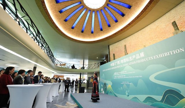 Çin'in Guangxi Zhuang Özerk Bölgesi'nin simgesel ürünleri İsviçre'nin Cenevre kentinde sergilendi