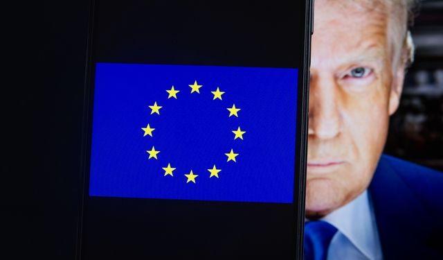 AB'den Grönland'e temsilci atayan Trump'a tepki: Danimarka'nın toprak bütünlüğü korunmalı