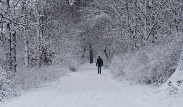 Hollanda'da aşırı kar yağışı nedeniyle turuncu alarm verildi