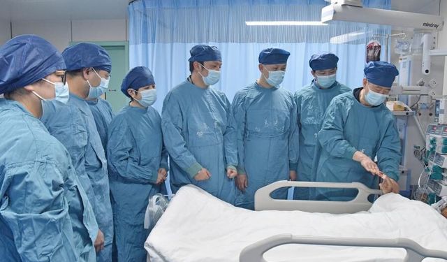 Çin'de akut karaciğer yetmezliğinde genetiği değiştirilmiş domuz karaciğeri kullanıldı