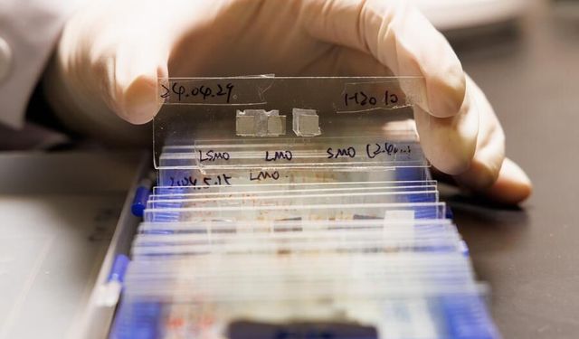 Çin'de yayımlanan bilimsel dergilerin küresel etkisi arttı