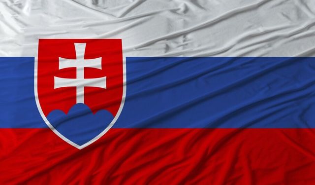 Slovakya, Ukrayna'ya acil durumlar için verilen elektriği kesecek