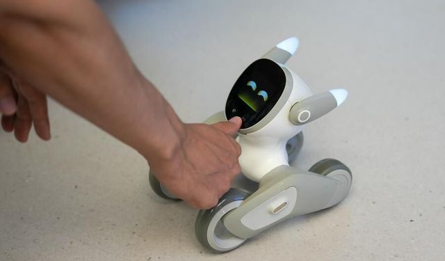 Çin'in Chengdu kenti yapay zeka ve robotikte büyümesini sürdürüyor
