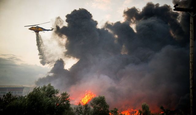 Selanik'te orman yangını iki fabrikaya sıçradı: Kent zehirli duman altında kaldı
