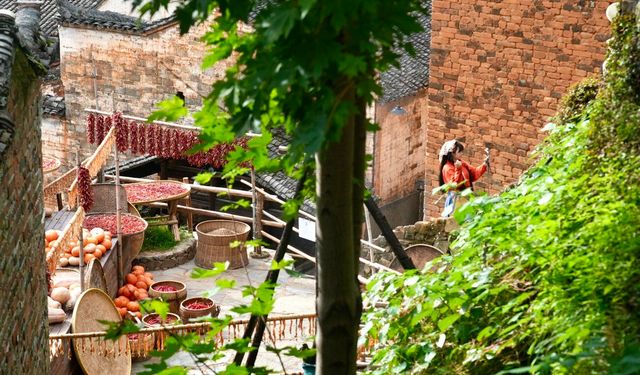 Çin'deki Huangling köyünden renkli hasat manzaraları