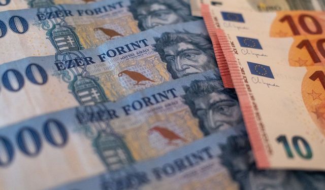 Macaristan'ın para birimi forint, seçimlerden bu yana euro karşısında en düşük seviyeye geriledi