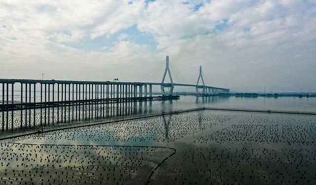 Çin'de yeni bir çevre yolu trafiğe açıldı