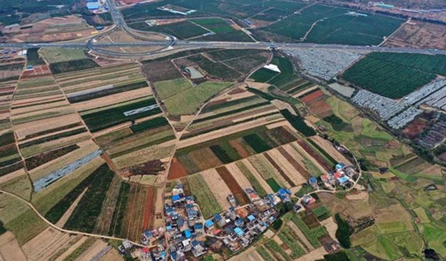 Xi, Çin Komünist Partisi için önceliğin tarım olduğunu vurguladı