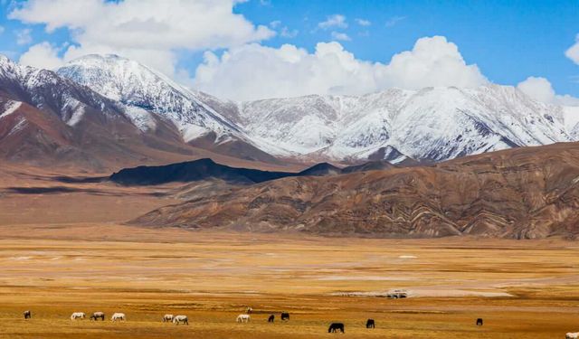 Tibet Platosu'nun Yer- Atmosfer Etkileşimine dair Yeni Veriler!