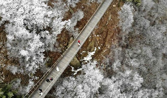 Çin'de donmuş ağaçların nefes kesen manzarası