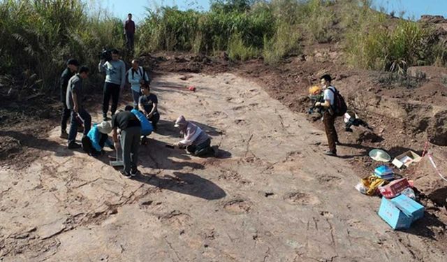 Bilim insanları Çin'in doğusunda 240'tan fazla dinozor ayak izi keşfetti