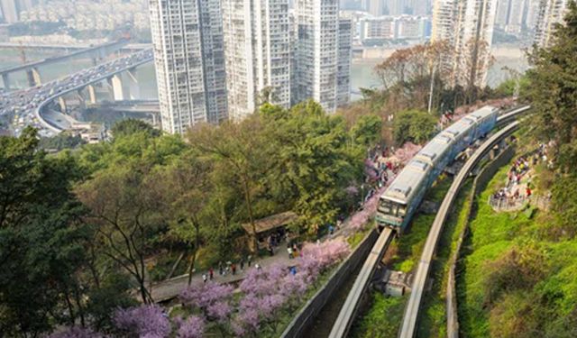 Çin'de çiçekler arasında bir monoray treni