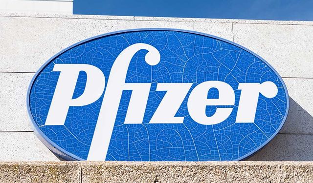 İlk parti aşının ulaştığı Japonya, Pfizer'ın geliştirdiği Kovid-19 aşısına yeşil ışık yaktı