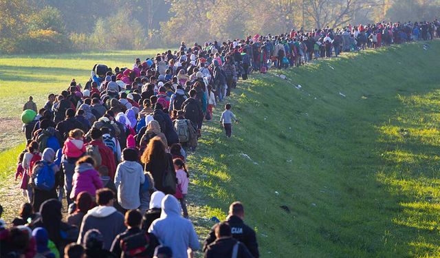 Uluslararası Göç Örgütü: AB sınırlarında göçmenlere karşı şiddet bitmeli