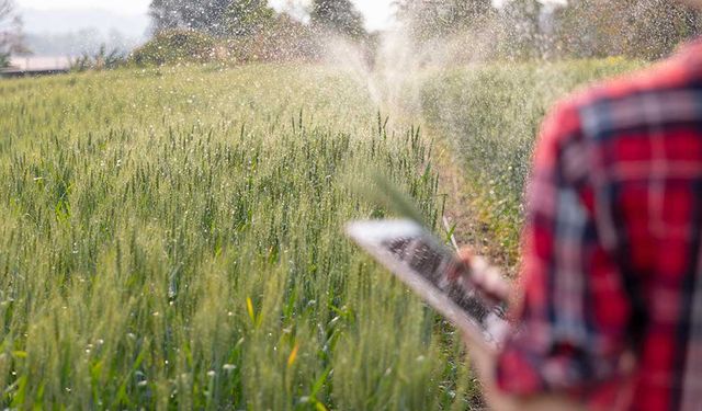 İsrail'de mahsullerin su ve ısı stresini öngören yöntem geliştirildi