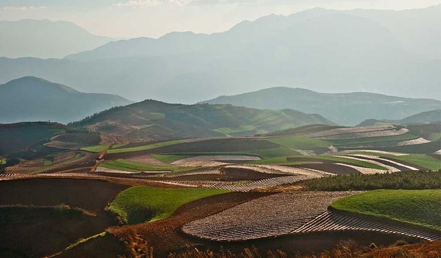 Bilimsel ve teknolojik yenilikler Çin'in tarımsal ürün işleme endüstrisini geliştirdi