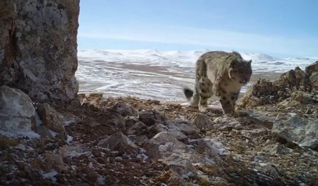 Çin'in Qinghai eyaletinde yüksek kaliteli kalkınma, ekolojik ortamını iyileştiriyor