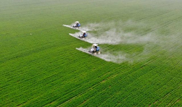 Çin'de gıda güvenliği için bahar tarımında yüksek teknoloji kullanılıyor