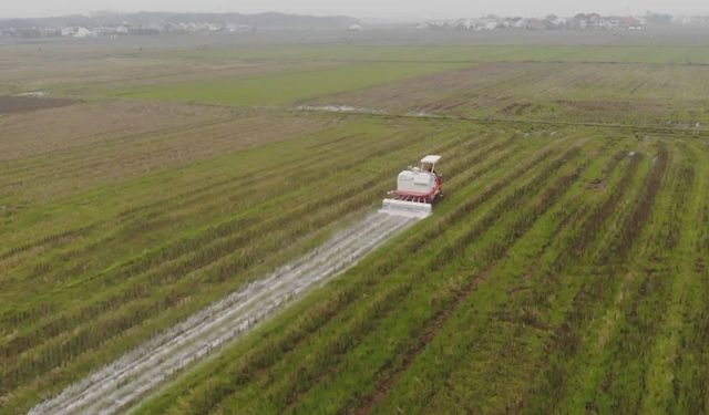 Hassas kireç serpiciler Çin'de toprağı ekime hazırlamaya yardımcı oluyor