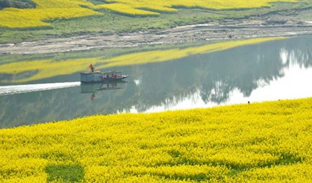 Çin'in Sichuan eyaletinde bahar manzarası