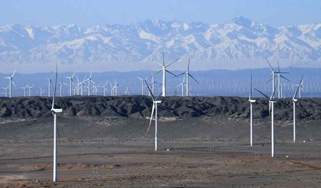 Çin Başbakan Yardımcısı, karbon tepe noktası ve karbon nötrlüğü takviminin önemini vurguladı