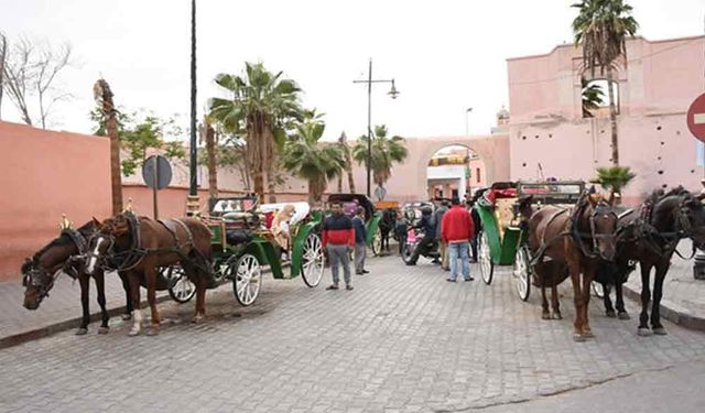 Fas'ta turist taşıyan at arabaları artık halk tarafından kullanılıyor