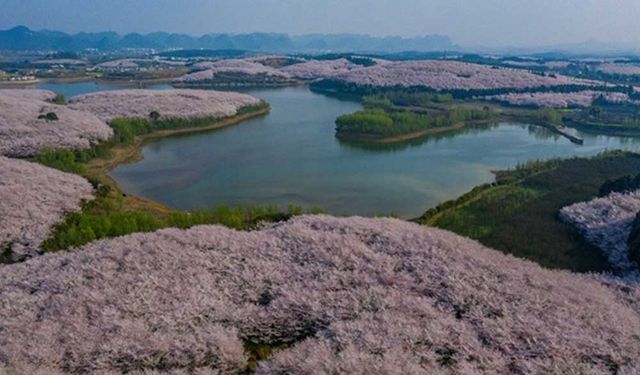 China'in Guizhou eyaleti, dijital gelişimi artırma çabalarını bir araya getiriyor