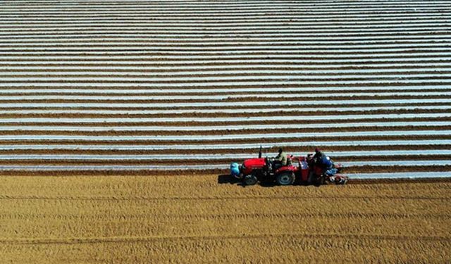 Çin, yeni tarım işletmeleri için finans hizmetlerini artıracak