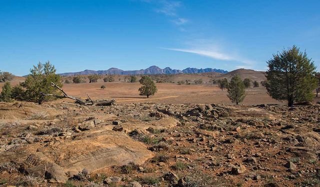 Avustralya'nın orta kesiminde bulunan fosiller bilinmeyen bir dinozor türüne ait olabilir