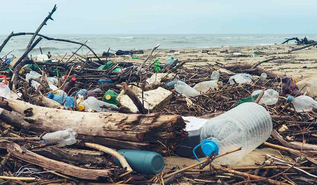 Avustralya ve Pasifik'teki şirketler, 2025 yılına kadar plastik atıkları azaltma sözü verdi