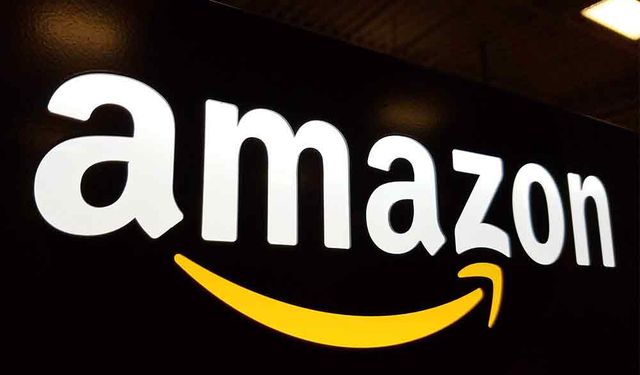 PPI'ın ABD'ye yatırım yapan şirketler listesinde Amazon birinci sırada