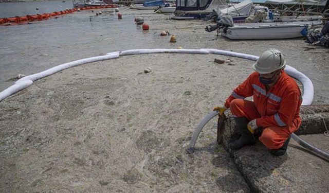 Dünya Okyanuslar Günü'nde Marmara Denizi'ni deniz salyasından kurtarmak için kampanya başlatıldı