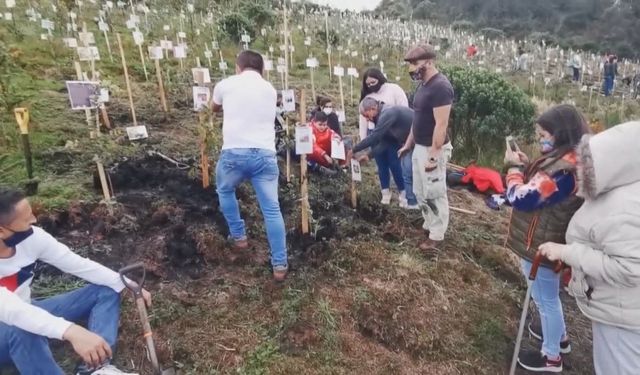 Kolombiya'da Kovid-19 kurbanlarının külleri kıraç araziyi yeniden ağaçlandıracak