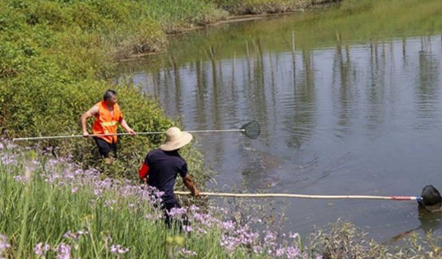 Çin'deki Liangtan Nehri'nin ekolojik restorasyonu