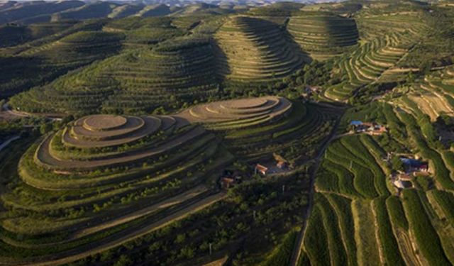 Çin'in Ningxia Hui Özerk Bölgesi'nden teras tarla manzaraları