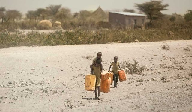 Kenya, gıda güvensizliğine yol açabilecek kuraklığa karşı uyardı