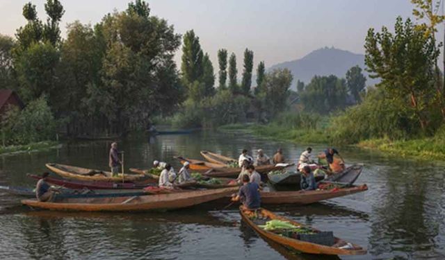 Keşmir'in Srinagar şehrinde yüzen sebze pazarı