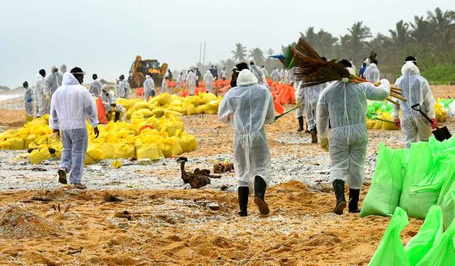 Sri Lanka'da X-Press Pearl gemisinin yanmasının ardından 176 deniz kaplumbağası öldü