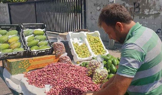 'Gülümseyen yemiş' ile hayırlı işler: Lübnan'daki fıstık üreticilerinin sayısı artıyor