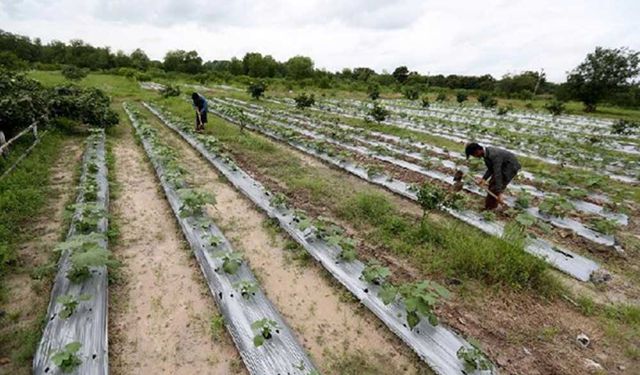 Myanmar, LMC Özel Fonu kapsamında çeşitli projeler için Çin'den kaynak aldı