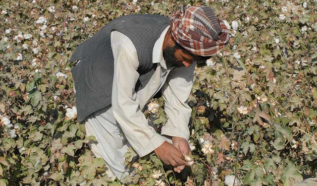 Afganistan'ın kuzeyindeki Kunduz'da bulunan pamuk fabrikası yeniden açıldı