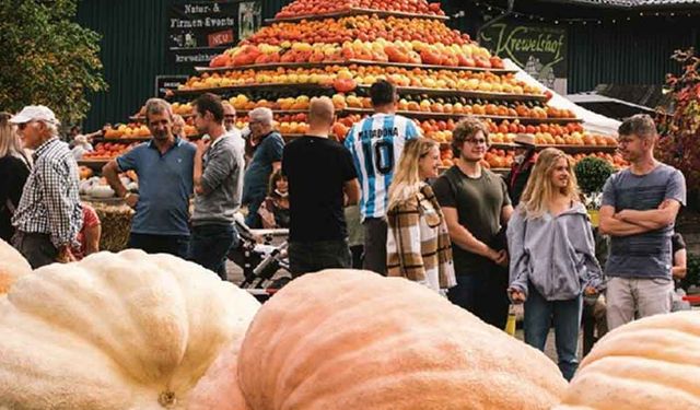 Almanya'daki geleneksel festivalde dev balkabakları sergilendi