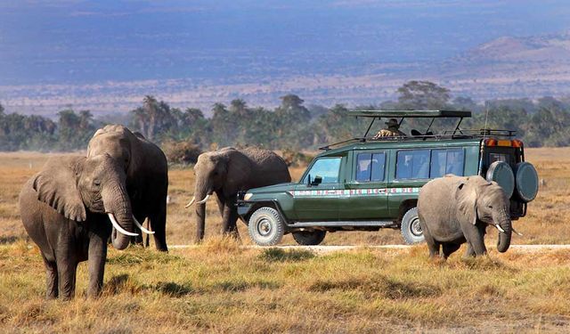 Doğu Afrika Topluluğu ülkeleri Kovid-19 pandemisi nedeniyle turizm gelirlerinin yüzde 92'sini kaybetti