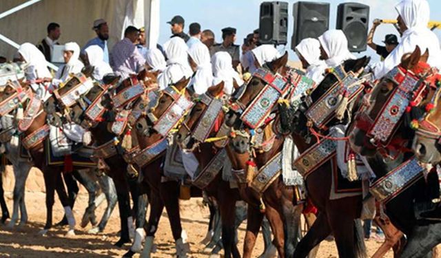 Libya'da binicilik festivali düzenlendi