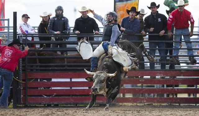 Kanada'da rodeo şampiyonası finalleri düzenlendi