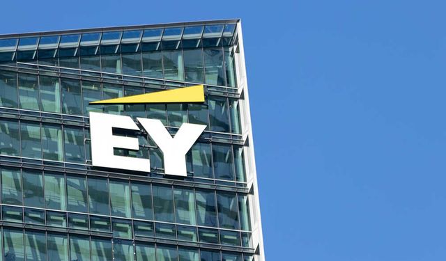 Ernst & Young: Küresel halka arz piyasası için 2021 rekor yılı oldu