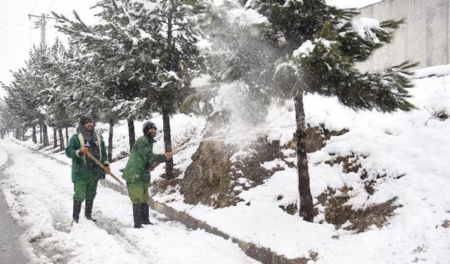 Afganistan'ın başkenti kara teslim oldu