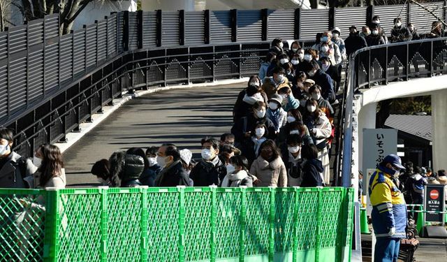 Japonya'da doğan panda ikizleri ilk kez halkın karşısında